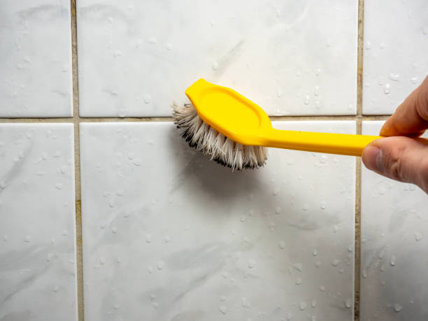 Best Mold Removal Near Me  in Osborne, KS