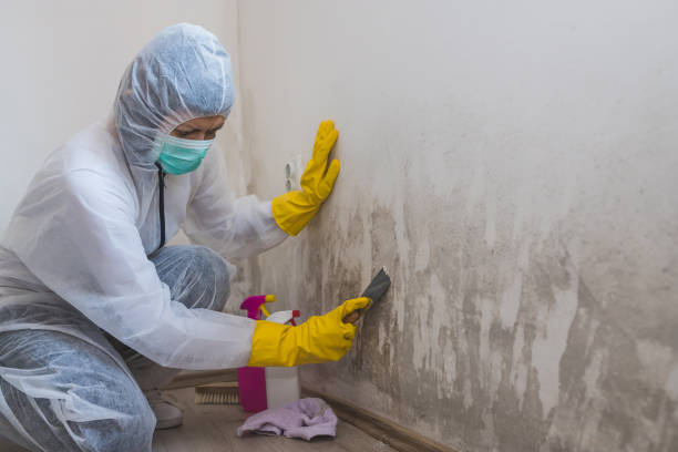 Best Mold Testing  in Osborne, KS