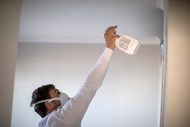 Best Fast Mold Removal  in Osborne, KS