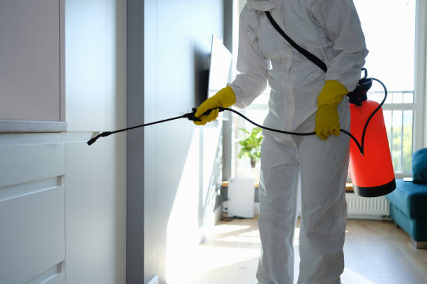 Professional Mold Removal in Osborne, KS